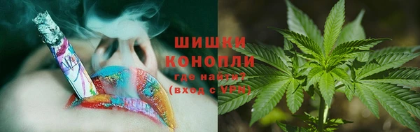ALPHA PVP Горнозаводск
