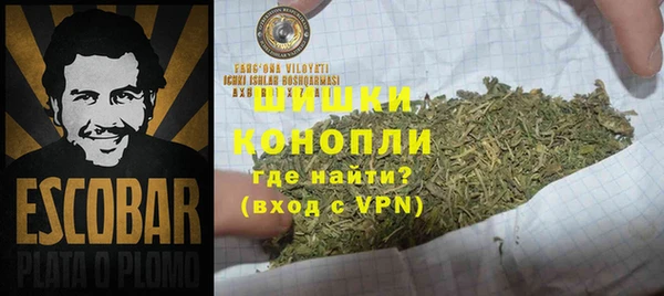 молекула духа Гусиноозёрск