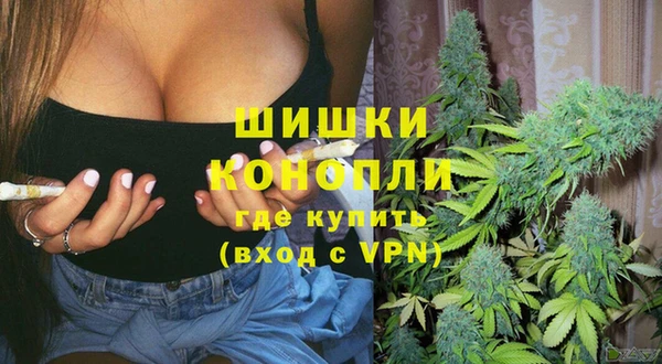 ALPHA PVP Горнозаводск
