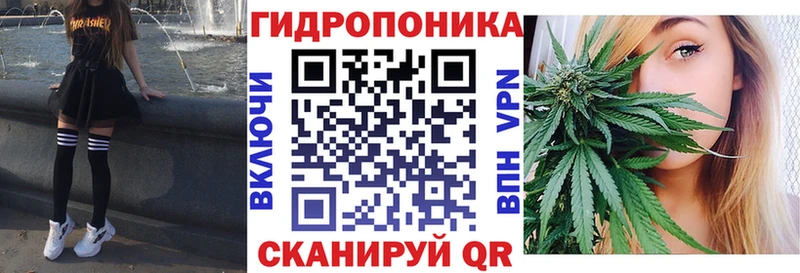 сколько стоит  Дорогобуж  гидра зеркало  Конопля планчик 